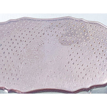 Load image into Gallery viewer, Vintage Oval Pill Box with Velveteen Floral Motif Lid